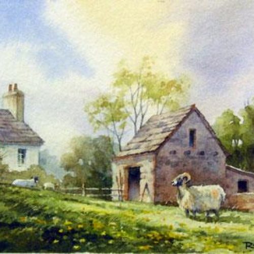 Yorkshire Sheep - Yorkshire Dales - Watercolor painting of the Yorkshire Dales