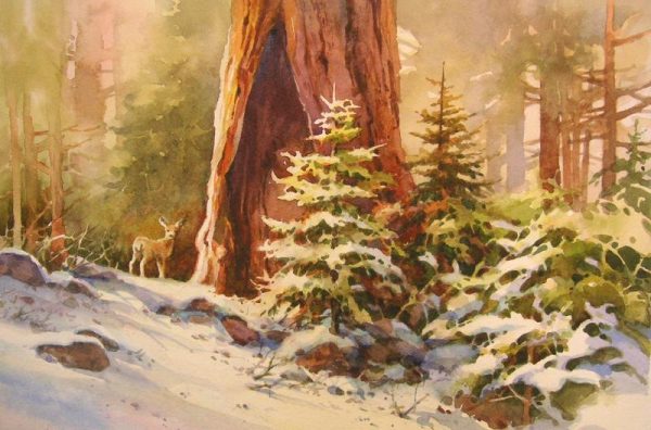 The Circle of Life, Sequoia