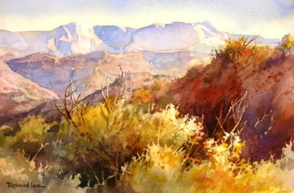 Desert Study