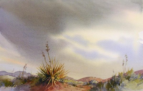 Desert Landscape Study – Yucca Skies