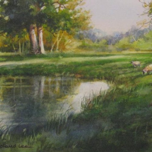 Sheep by the Pond - Kent England