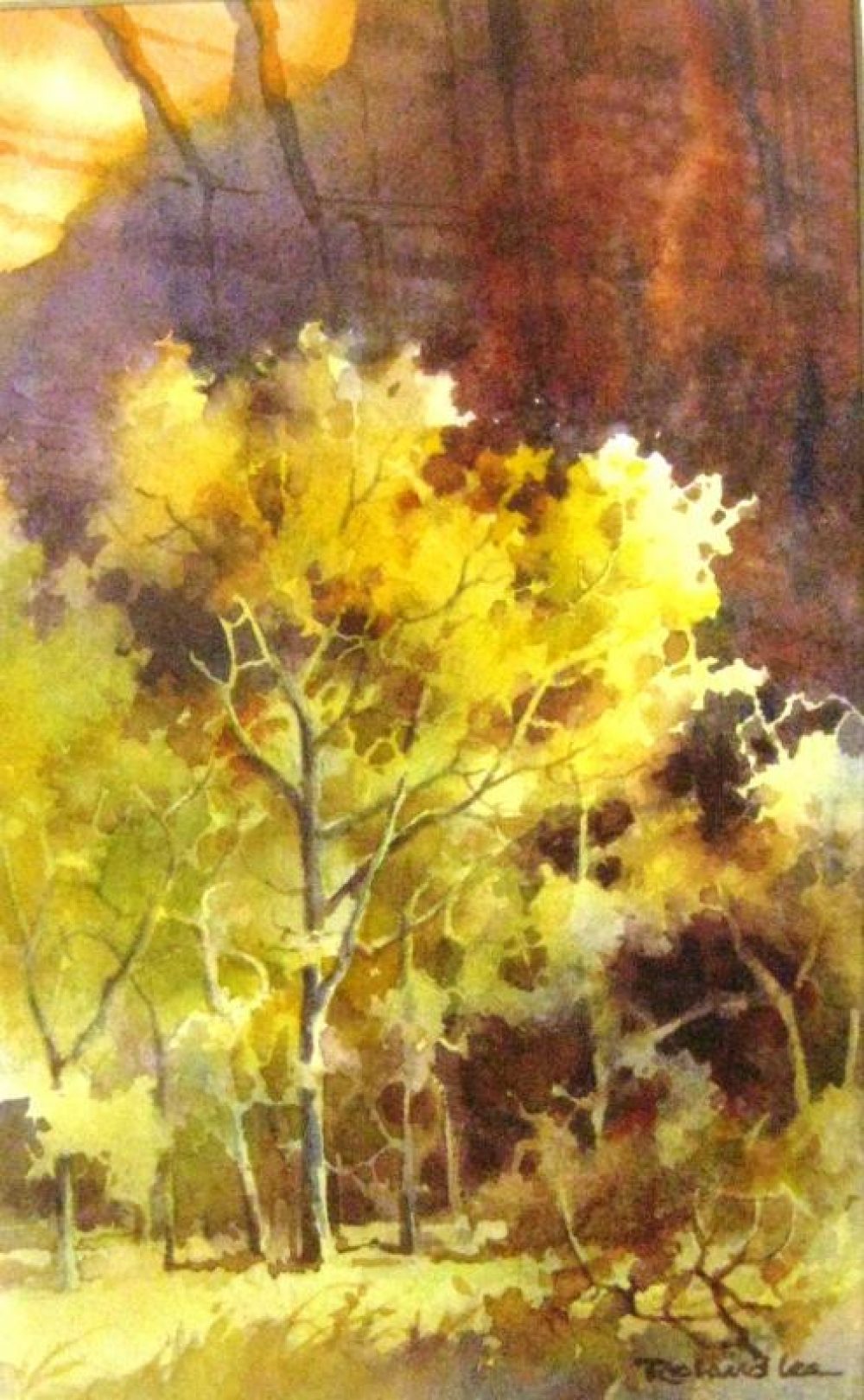 Canyon Cottonwoods - Watercolor Painting of Autumn Trees in Zion Canyon