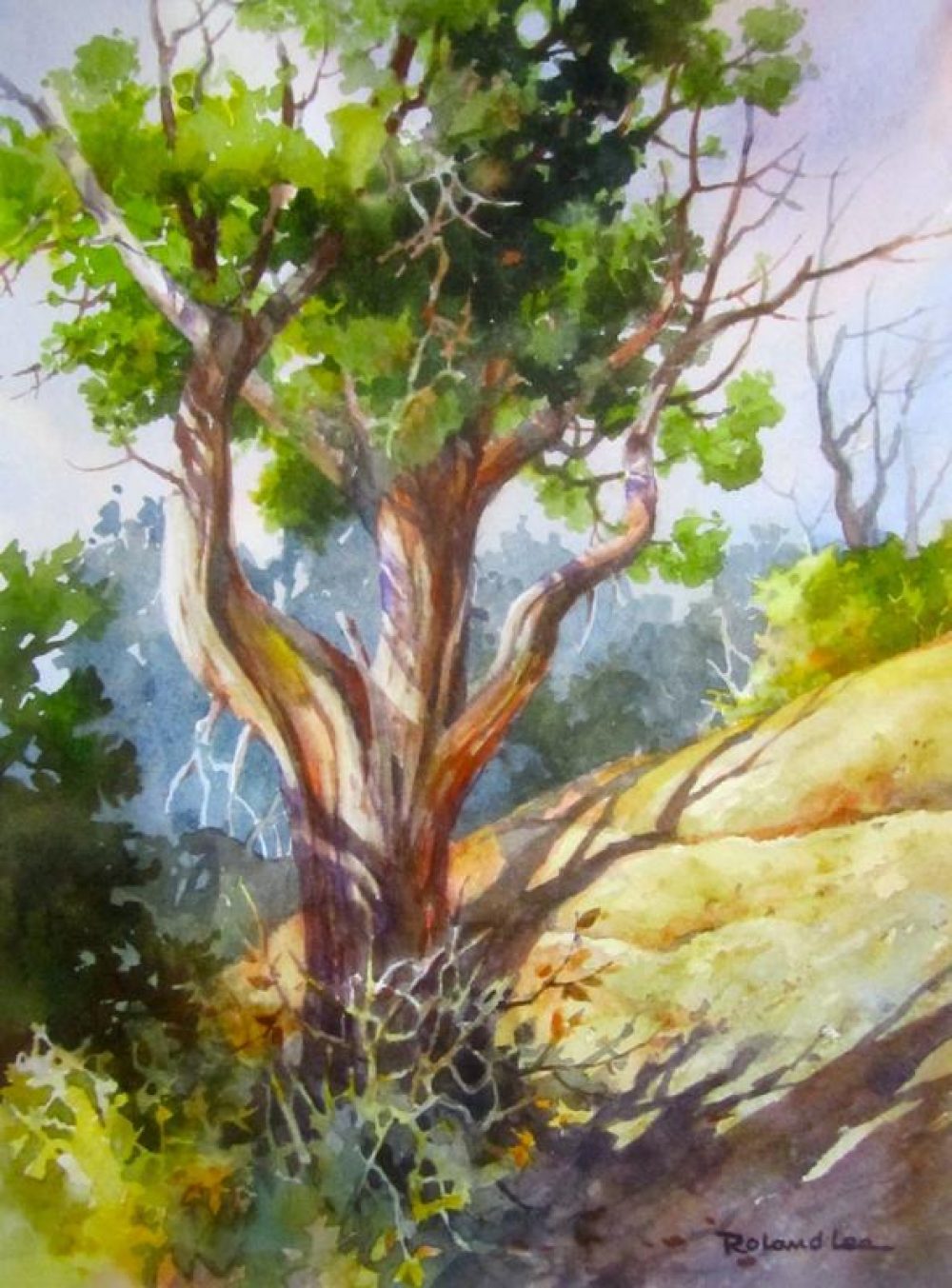 One of the Ancients - Painting of Mesa Verde National Park Juniper Tree