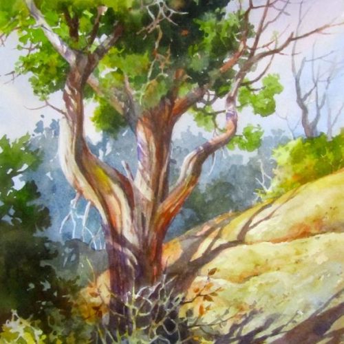 One of the Ancients - Painting of Mesa Verde National Park Juniper Tree