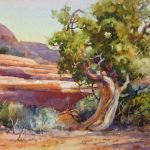 Desert Juniper - Watercolor Painting of a gnarly Juniper at Capitol Reef Utah