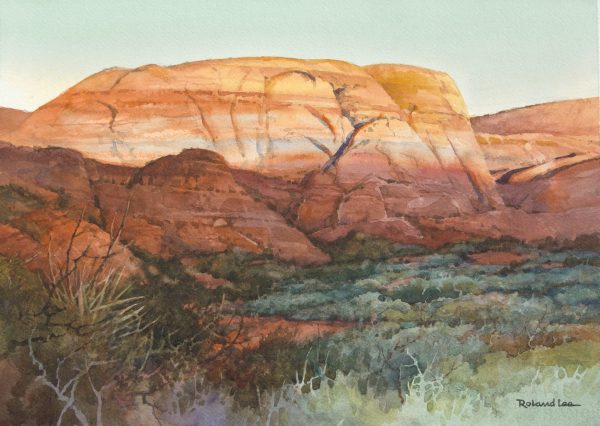 Red Glow in Snow Canyon