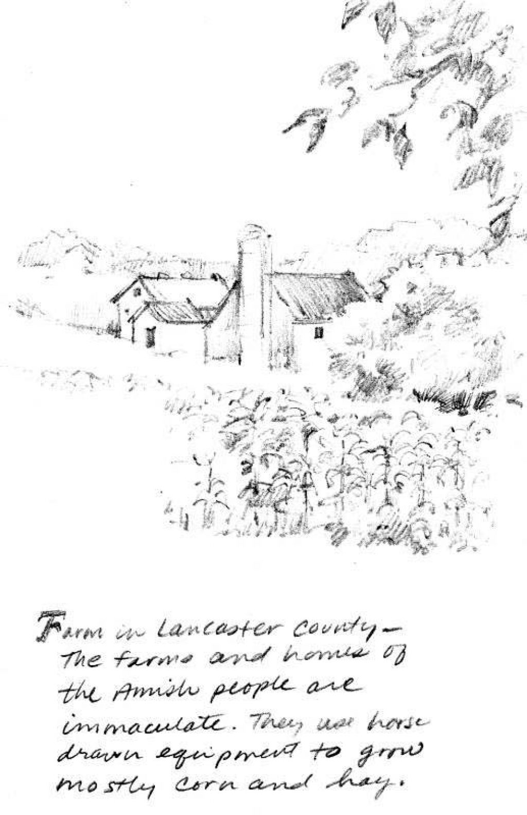 Pencil Drawing of Amish Farm near Lancaster