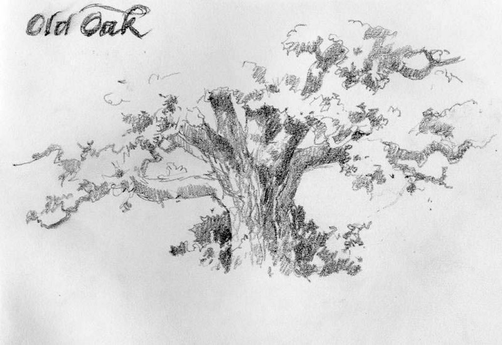 Pencil Sketchbook Drawing in Kent England by Roland Lee