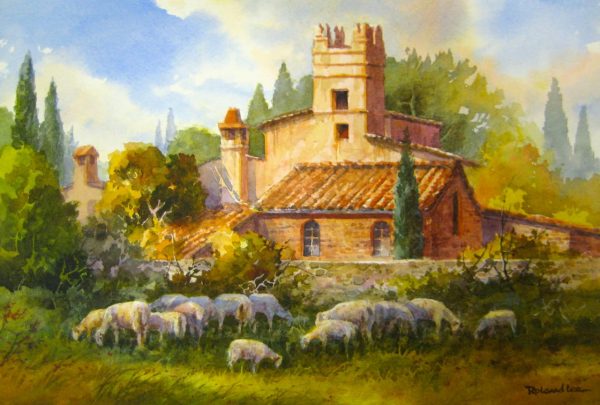 Grazing Sheep Near San Callisto Italy