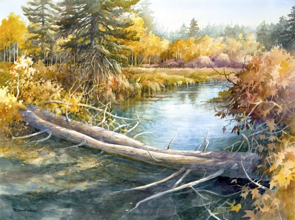 Duck Creek Deadfall