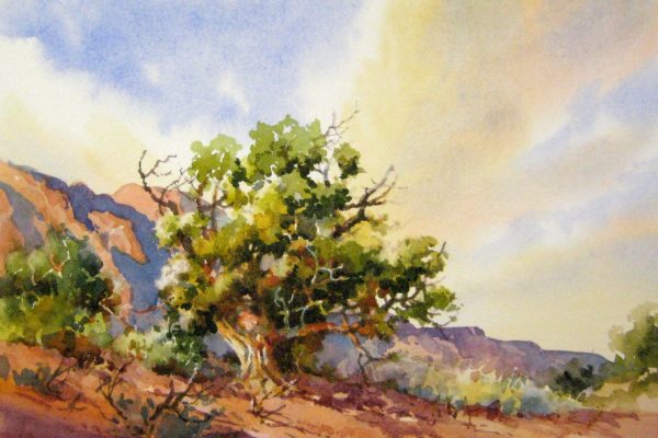 Desert Dazzle