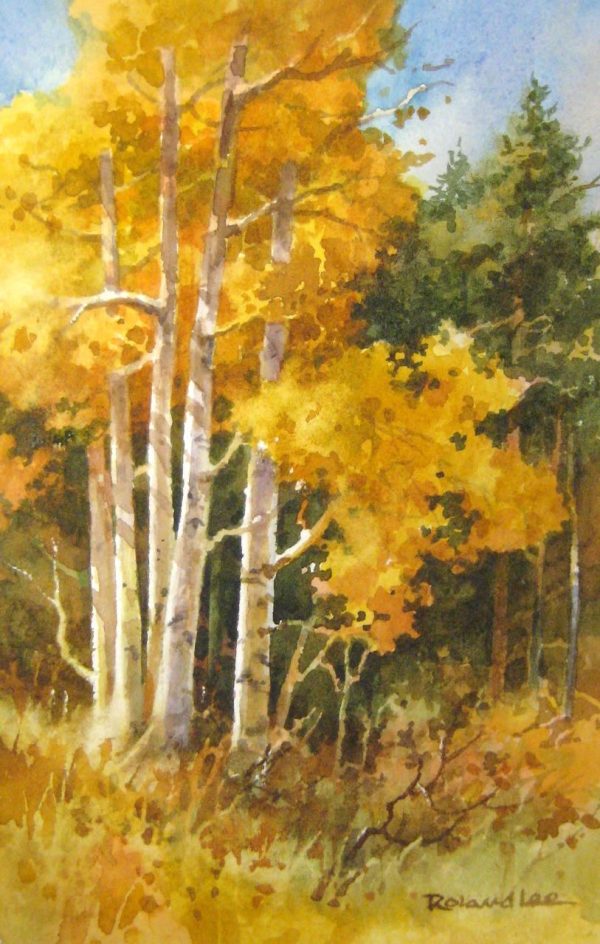 Aspen Colors