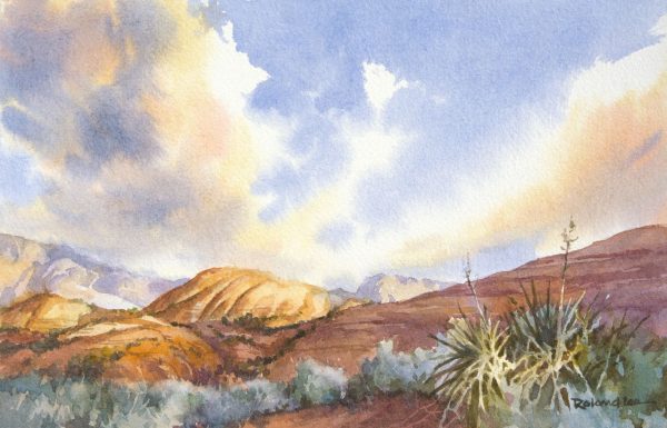 Snow Canyon Skies