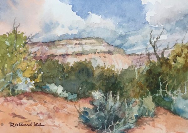 Carmel Cliffs and Sage – Plein Air