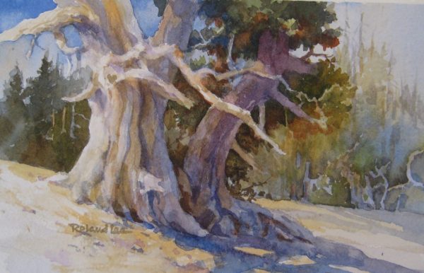 Ancient Ones – Plein Air Cedar Breaks
