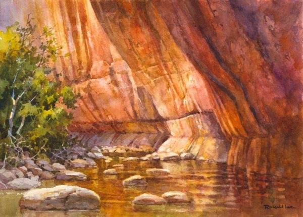 Zion Narrows Undercut