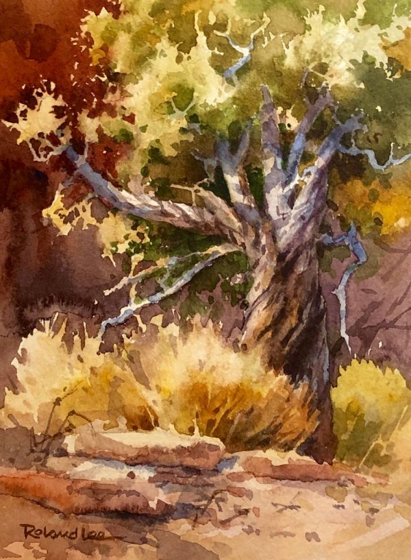 Twisted Juniper – Plein Air