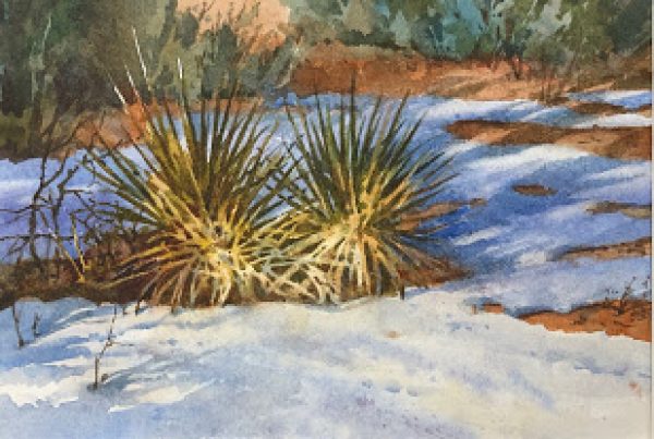 Kiss of Light – Yuccas in the Snow