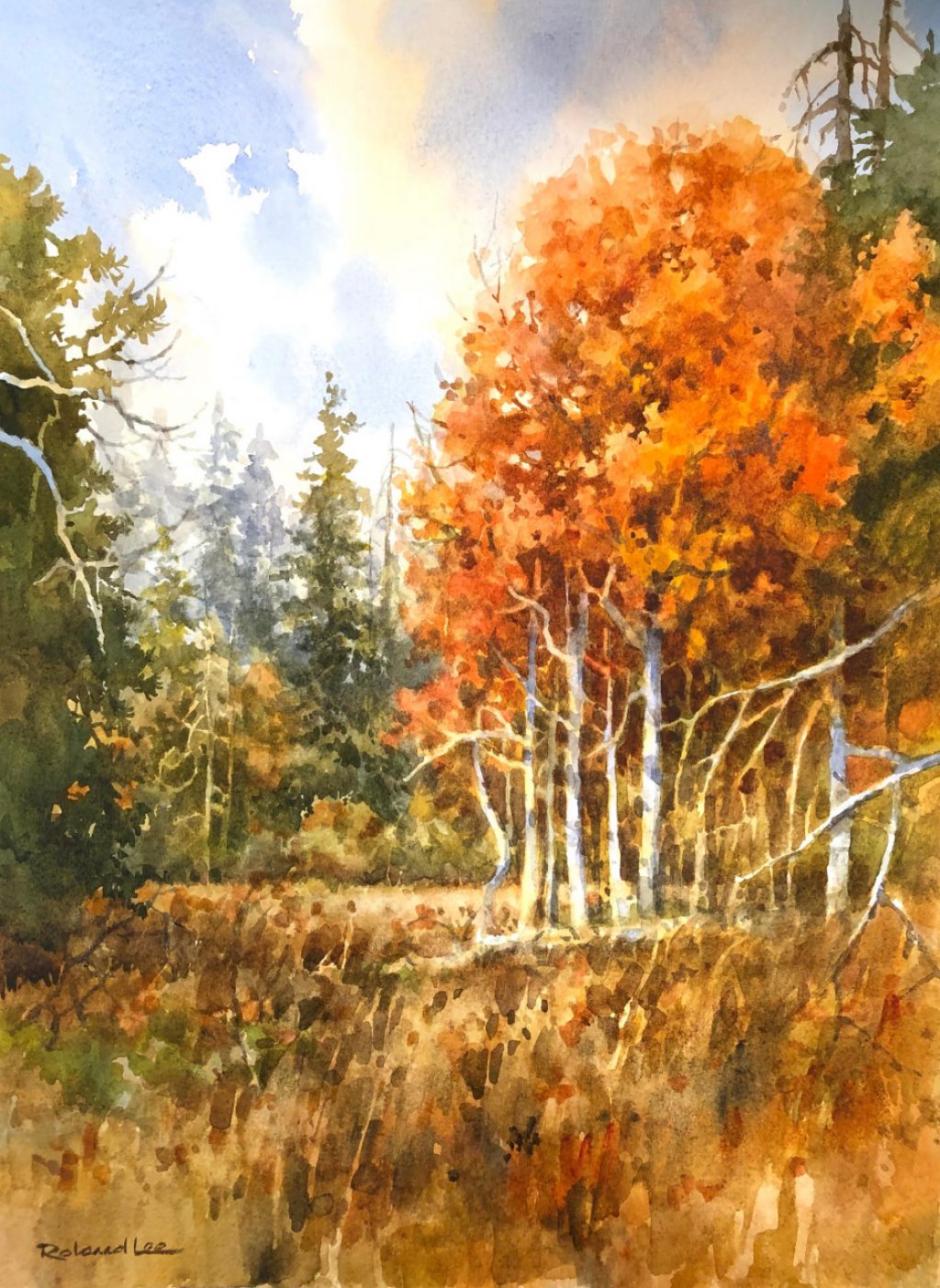 Autumn Retreat – Cedar Mountain Aspens – Roland Lee