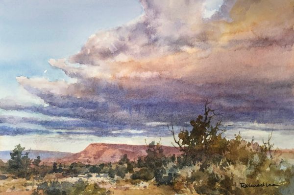 Desert Patterns (Big Clouds)