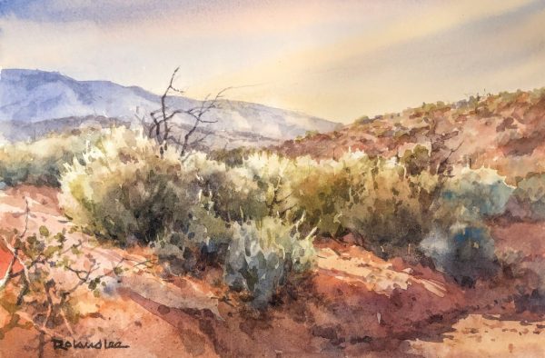 Desert Wash Study