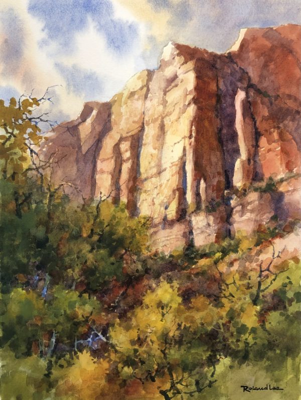 Soaring Cliffs