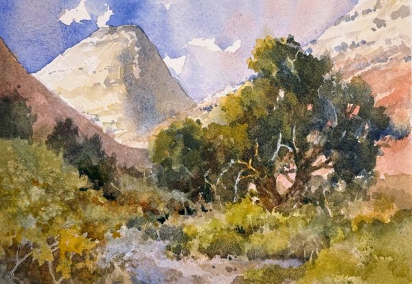 Zion White Dome 6 x 9