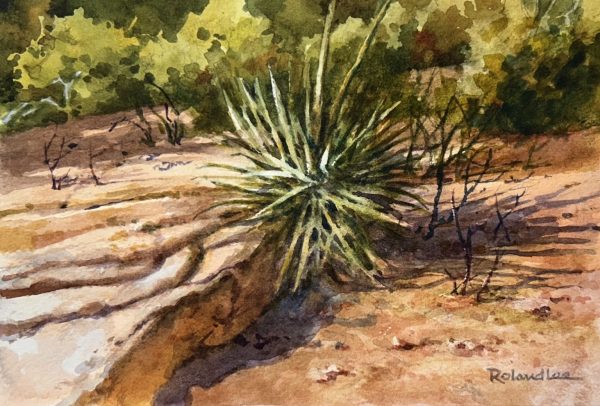 Zion Yucca 6 x 9