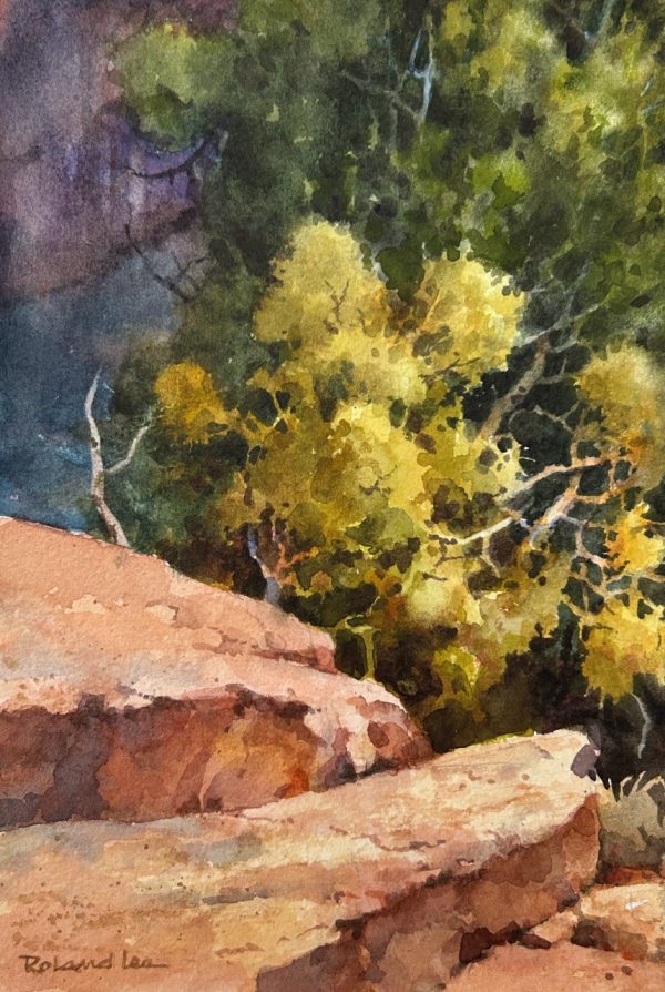Pines on the Rocks 6 x 9
