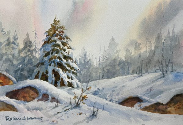 Softness of Winter 6 x 9
