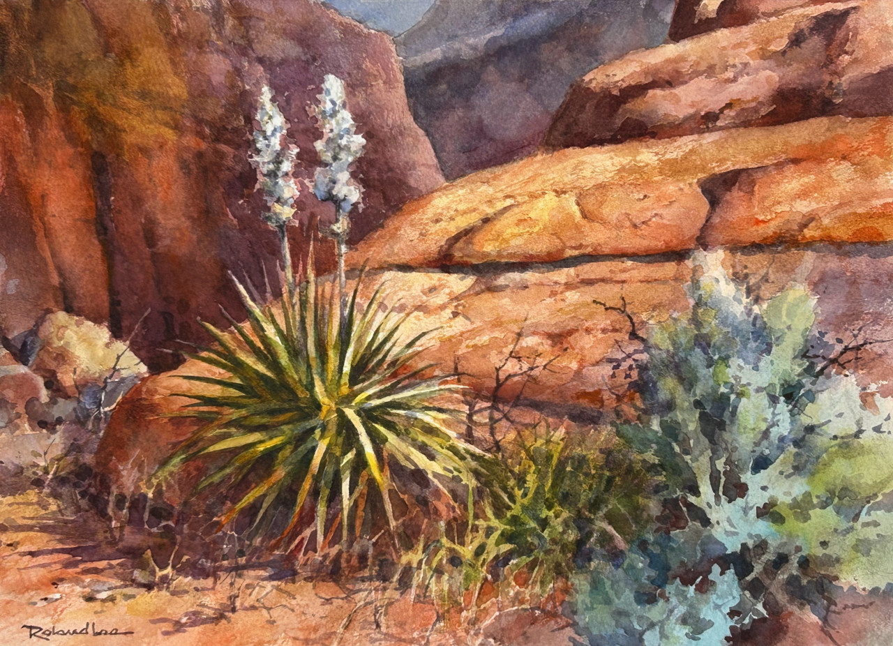 2358-yucca-blossoms-1